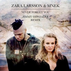Zara Larsson - Never Forget You (Tim Delight Remix)