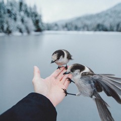 ORCHID nyam - WEDONT TALK ANYMORE REMIX