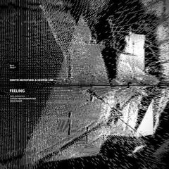 Dimitri Motofunk & George Libe - Don't Look Back (Lukas Freudenberger Remix)[Black Square Rec]