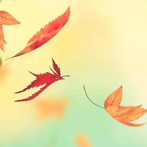 Falling Leaves Vol. 3