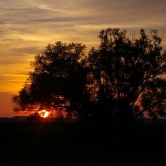 Atlanta TMJ Massage - Evening Meditation