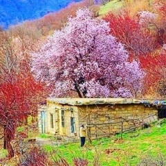 .پاییز آمد . موسیقی و تنظیم از محمدرضا عقیلی