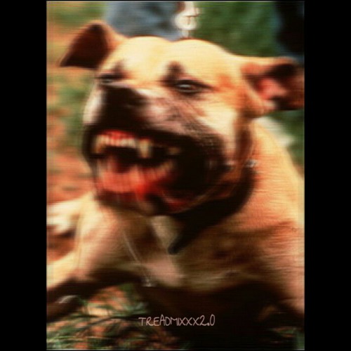 TREADMIXXX2.0 *RARE LOOSIE MAN x OOGIE AT THE END