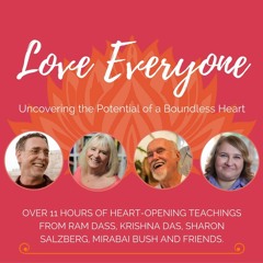 Love Everyone Session 5: Uncovering the Potential of a Boundless Heart
