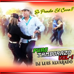 Puro Tamborazo  Vol.1 (Luis Alvarado Dj SLP) FREE DOWNALD