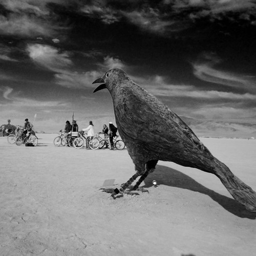 Burning Man 2016 Dusty Goat Saturday Supper Sesh
