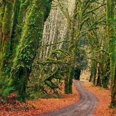 STEVEN CUTTER BASS HOUSE MIX VOL1