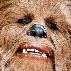 Episode 13 Audio Experience: Insane Cover Letter