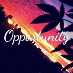 JayWill x Opportunity