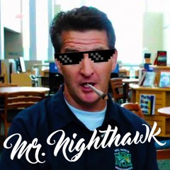 Mr. Nighthawk