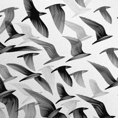 Why Ravens Fly