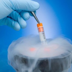 Fanatic.wav (Cryogenic)