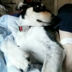 Cosmic luv (flo cover)