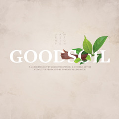 The Introduction - By Aleah Moses