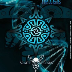 The Evolution Tribe VA !!! Black MoOn   (Spirited records)