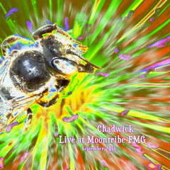 Chadwick - Moontribe FMG September 2016