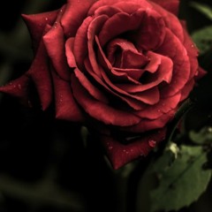 Rose (Produced By Truly Artistik)