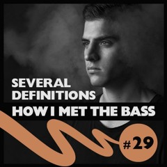 Several Definitions - HOW I MET THE BASS #29