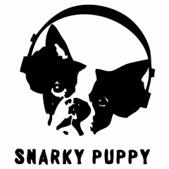 Snarky Puppy - Shofukan (Xarox Remix)