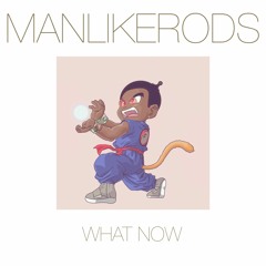 Manlikerods- "WHAT NOW"