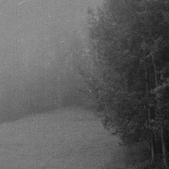 Cascades Through an Eternity of Distortions