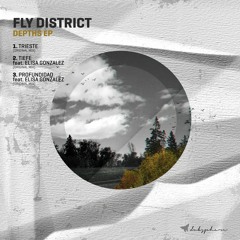 [DUBS 037] Fly District feat. Elisa Gonzalez - Profundidad (Original Mix)