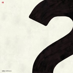 A1 - Rufus - Wildflowers - Snippet