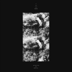 YYYY - Intention Of Mortal - WCR014