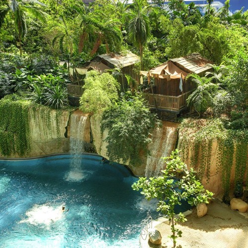 tropical tek