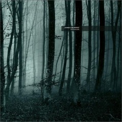 James Murray " Ghostwalk " Martin Nonstatic Remix   Ultimae records