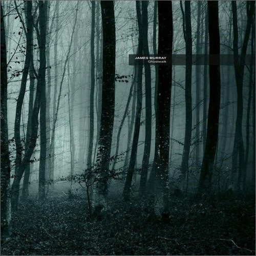James Murray " Ghostwalk " Martin Nonstatic Remix   Ultimae records