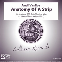 Andi Vasilos - Anatomy Of A Strip (Original Mix) Snippet