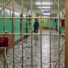 Освобожденные по закону Савченко. Справка Радио Вести