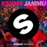JAMMU - ( Vaibhav Vaity mix )