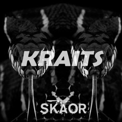 Kraits (Original Mix) |Supported by ANG & Royal Brothers|