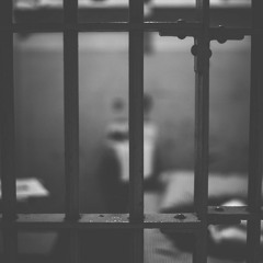 Dogmother X Q.2512 Ι Άνθρωπος γίνομαι