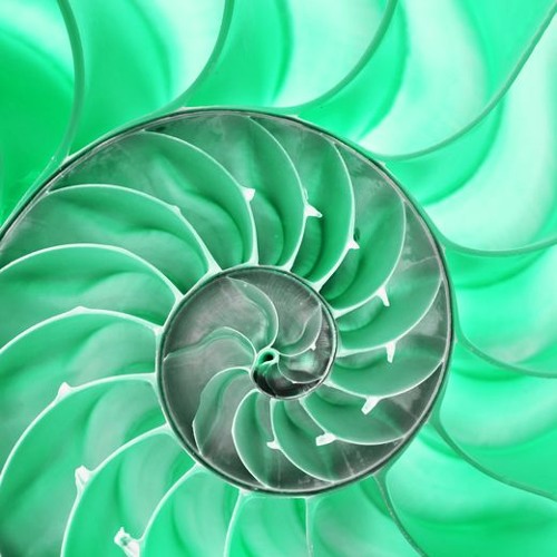 Eeon & Contineum (Untitled)