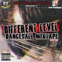 Rebel Youths Crew X DJ Troy - Different Level (Dancehall Mixtape 2016)