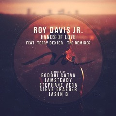Roy Davis Jr. - Hands Of Love Feat. Terry Dexter - Hands Of Love (Jamsteady Remix)