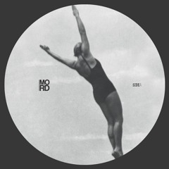 Perplexity - Herdersmat part 8 - Mord