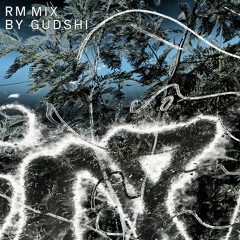 RM ix_02   GUDSHI - X-CLUSIF MIX