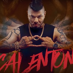 Chacal - Androide