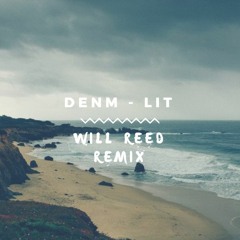 DENM - Lit (Will Reed Remix)