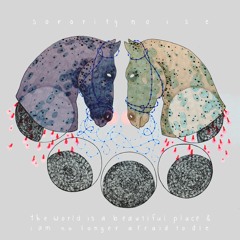 Sorority Noise - "Leaf Ellis"