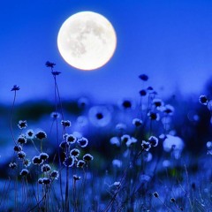 The Moon || By Shimaa Elmokadem