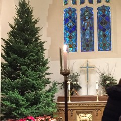 Creator of the Stars