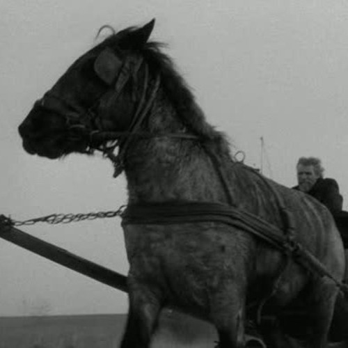 The Turin Horse/Béla Tarr/ Music by Mihály Vig (Remix by Potlatch)