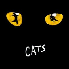 Memory-CATS-Opera