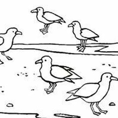 Anta Dion Podcast Face A La Mer .