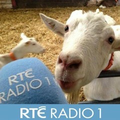 Mini-Features for RTÉ Radio 1's Countrywide